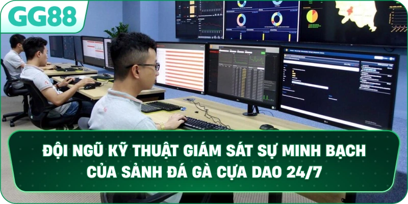 Đội ngũ kỹ thuật giám sát sự minh bạch của sảnh Đá Gà Cựa Dao 24/7.
