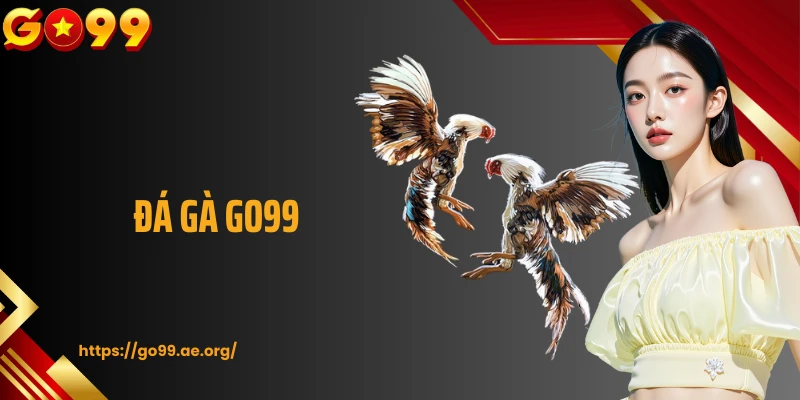 Đá Gà GO99: Trải Nghiệm Sàn Đấu Kê Kịch Tính Và Máu Lửa