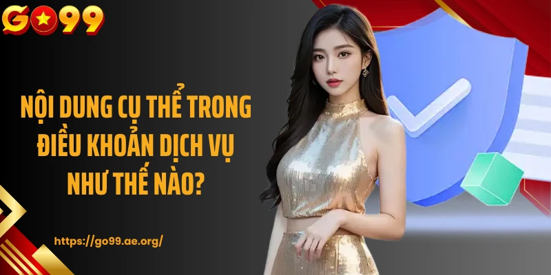 Nội dung cụ thể trong điều khoản dịch vụ như thế nào?